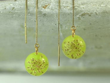 Baby's breath threader earrings. Sterling gold plated. Real dried flowers in light green resin. Delicate 925 silver chain earrings.